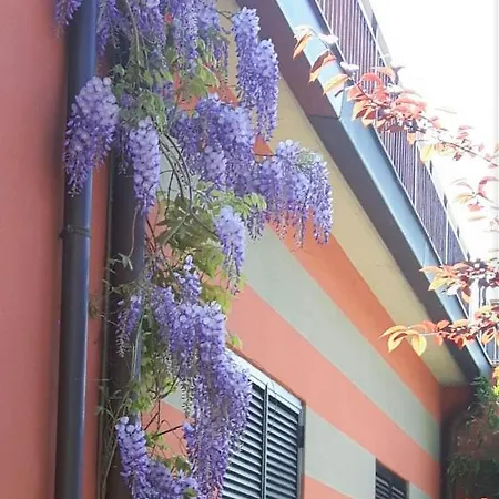 Residenza Xx Settembre Масльянико